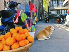 -东钱湖小普陀景区