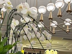 -鹿港小镇(霄云店)