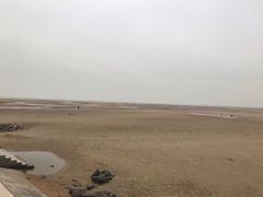 -刘家湾赶海园