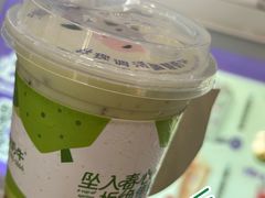 -一只酸奶牛(春熙路店)