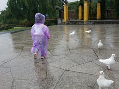 -无锡动物园·太湖欢乐园