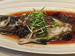 -湖锦酒楼·旗舰店(三阳总店)