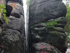 -汤旺河林海奇石景区