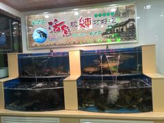 水产区-屯老二农家铁锅炖·行业领军者(梅江店)