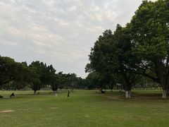 -东莞植物园