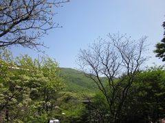 景点-汉拿树木园