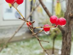 -生活时间羽毛球培训俱乐部