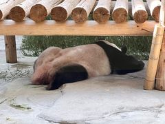 -杭州野生动物世界