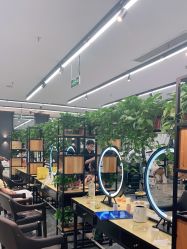 -藤野造型
