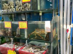 水产区-蚝专家(北滘店)
