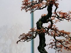 -昆明滇池国际会展中心
