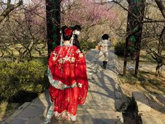 -香雪海