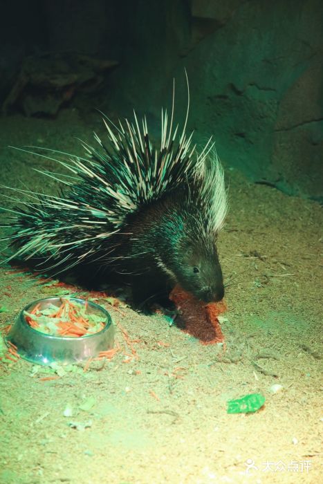 酷嗒动物文化乐园(cutezoo西溪乐天城店)图片