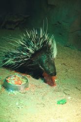 -酷嗒动物文化乐园(cutezoo西溪乐天城店)