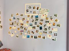 -喵屿·大理花园猫咖