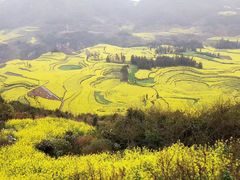 -牛街螺丝田