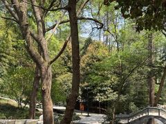 -东明山森林公园