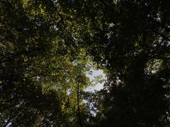 -东水关遗址公园