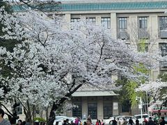 -武汉大学-樱园