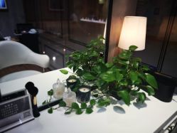 点击看大图 -PIONEER·韩式