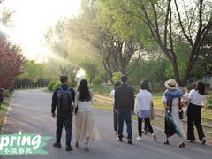 -永定河休闲森林公园