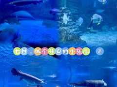 -烟台海昌鲸鲨海洋公园