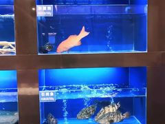水产区-金时代顺风大酒店(临港百联店)