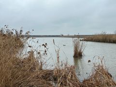 -盐城丹顶鹤湿地生态旅游区