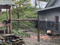 -碧峰峡风景区