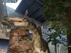 -湖南省地质博物馆