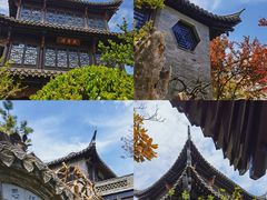 -乔园