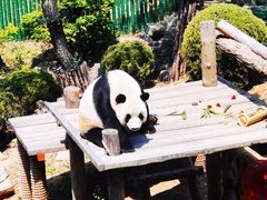 -大连森林动物园