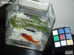 HELLEN & 魔方-杭州西湖桔子水晶酒店