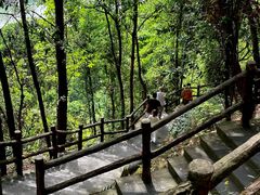 -铁山坪森林公园