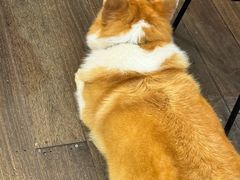 -肥朵食堂(带梦胡同店)