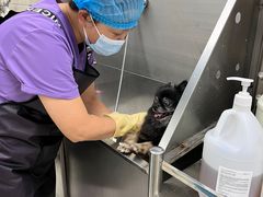 -北京观赏动物医院·24小时大型综合·猫专科·异宠专科