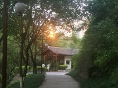 -重庆彩云湖湿地公园