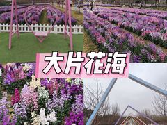 -盈香心动乐园