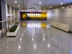 -张家界荷花国际机场