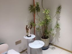 -WENDY·温迪皮肤管理