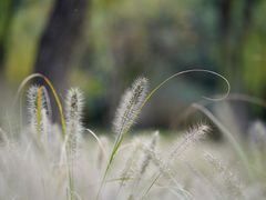 -苏州河梦清园环保主题公园