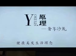 -Y-STUDIO原理
