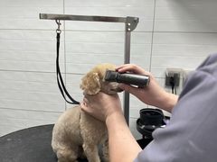 -达爱动物医院·犬猫分区·CT·复杂眼科(远洋山水分院)