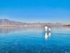 -野鸭湖国家湿地公园