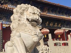 -大悲禅寺