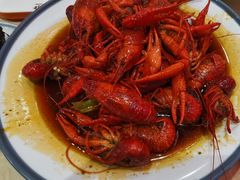 -杨氏青龙虾·羊蝎子(珠江路店)