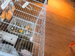 -蓝湾碧波·老字号·疍家非遗海上餐厅
