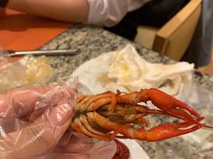 -上海大宁福朋喜来登酒店大堂吧(共和新路店)
