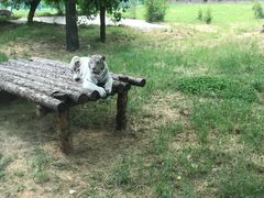 -西安秦岭野生动物园