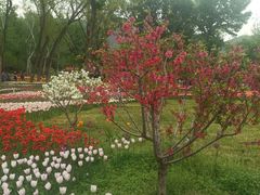 -北京植物园南门售票处